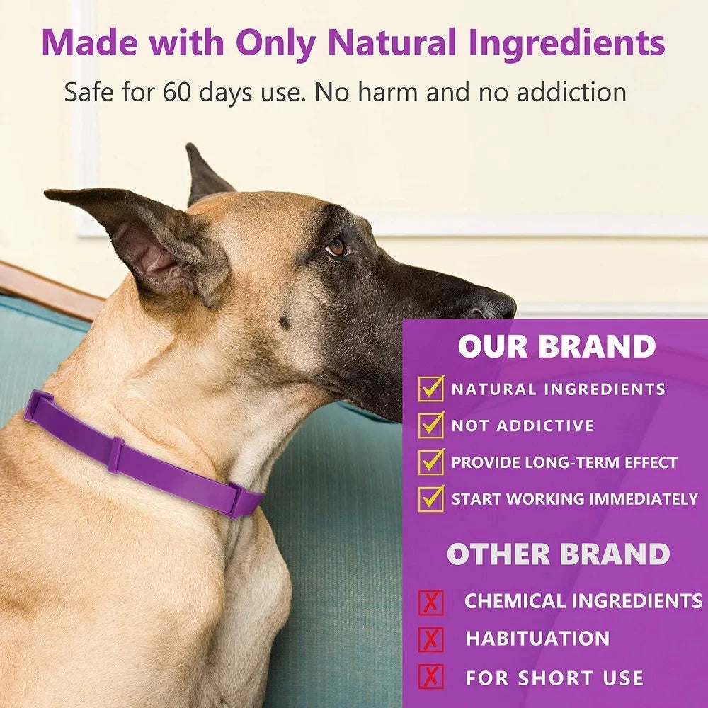 Calming Dog Collar - Lavender Infused