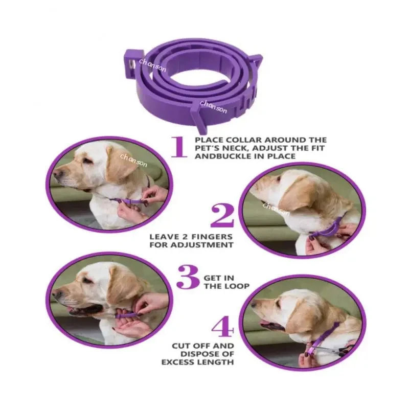 Calming Dog Collar - Lavender Infused