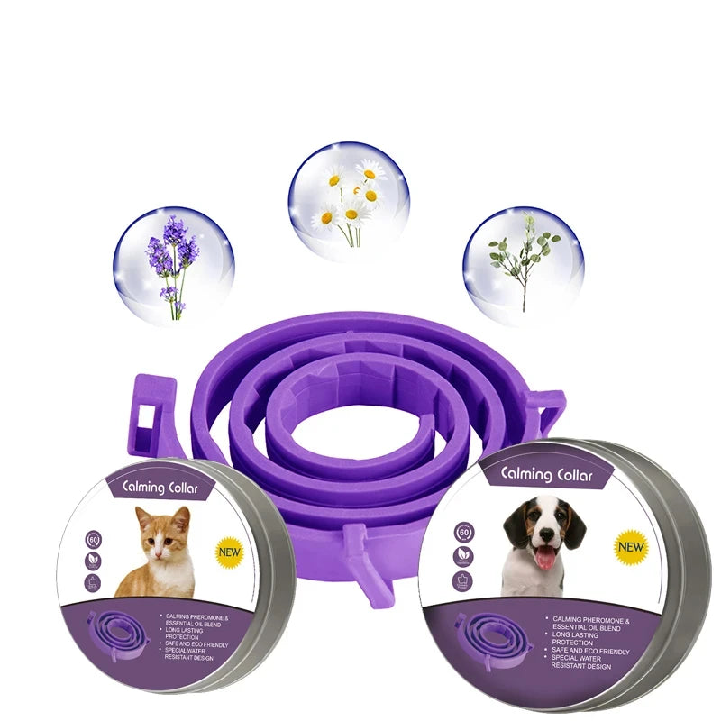 Calming Dog Collar - Lavender Infused