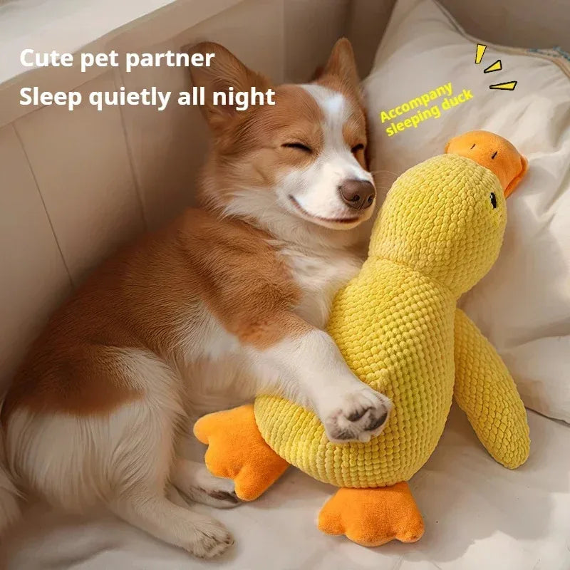 Calming Dog Chews