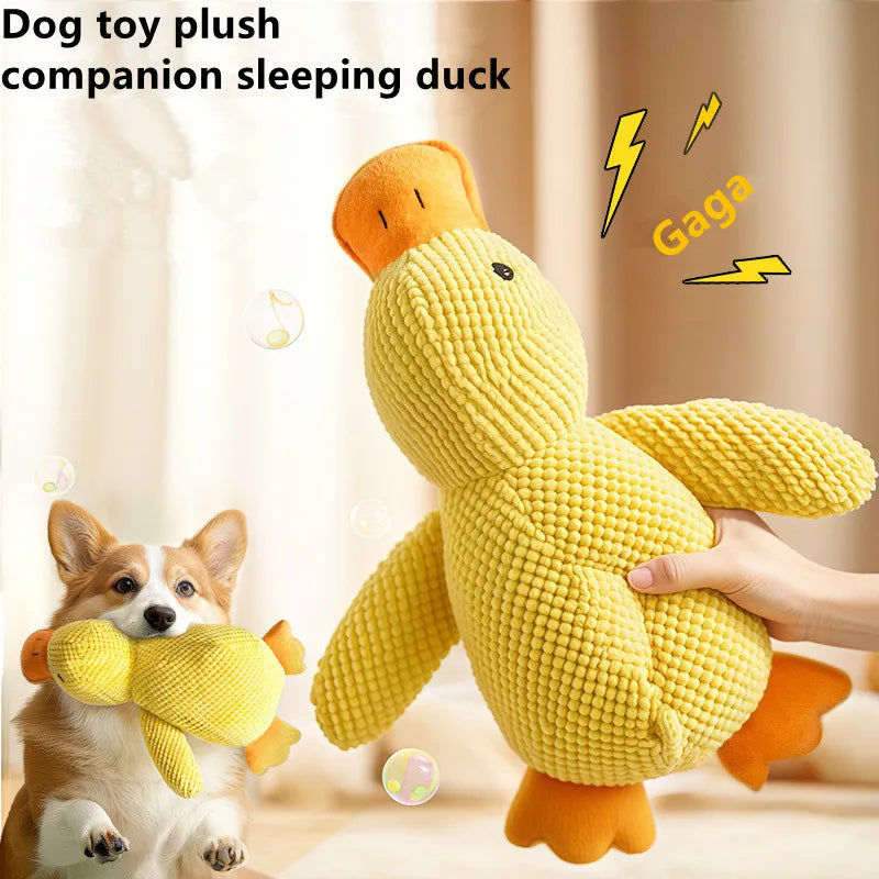 Calming Dog Chews