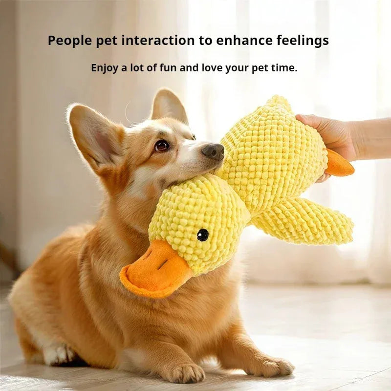 Calming Dog Chews