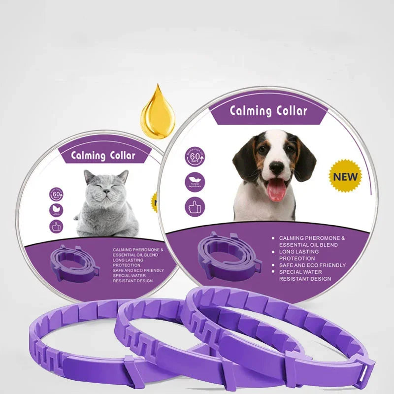Calming Dog Collar - Lavender Infused