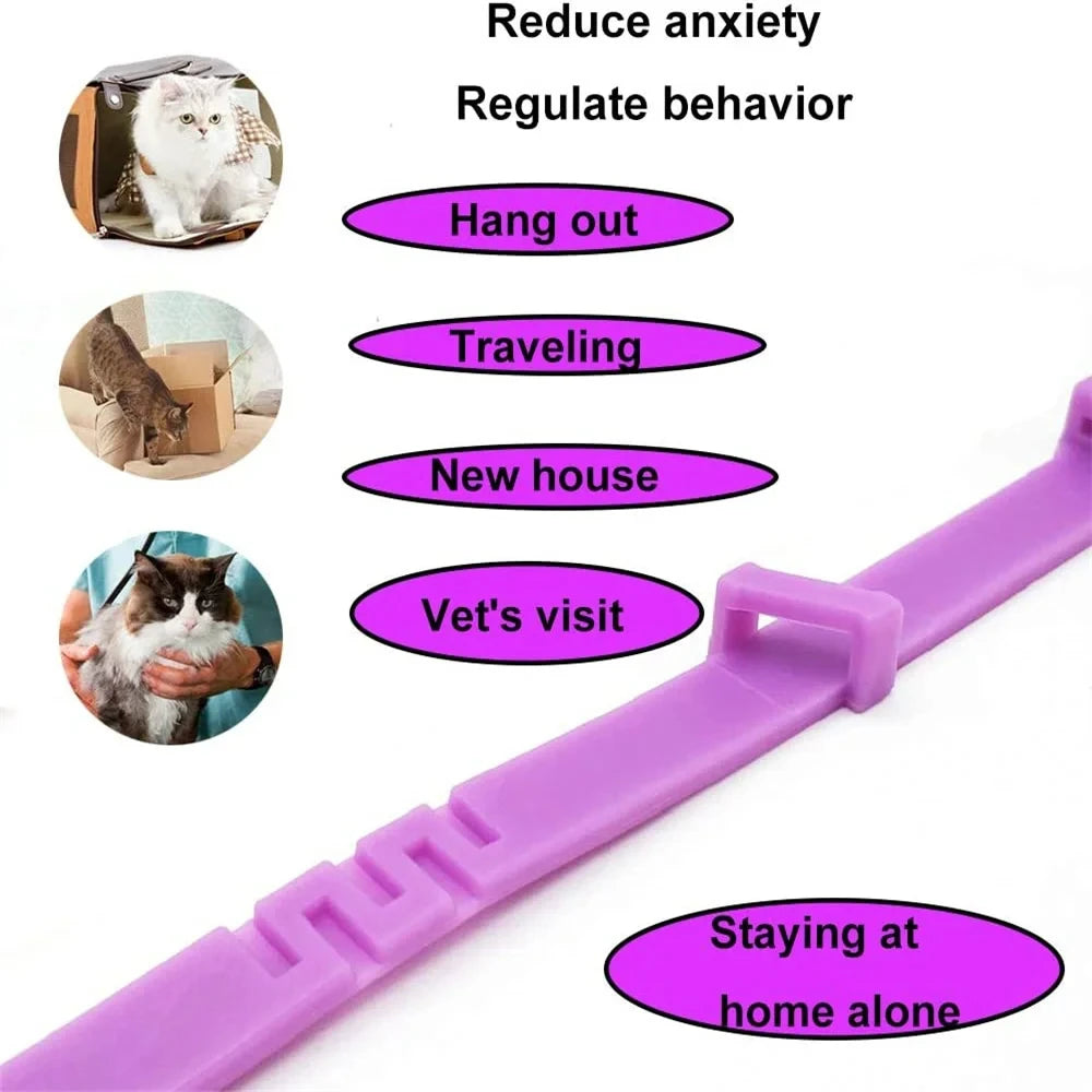 Calming Dog Collar - Lavender Infused