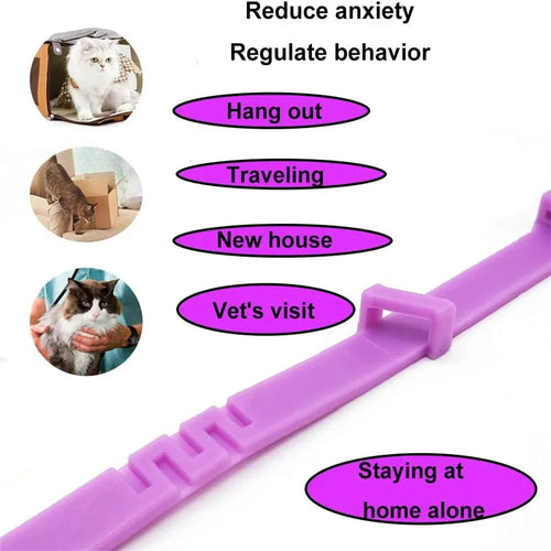 Calming Dog Collar - Lavender Infused