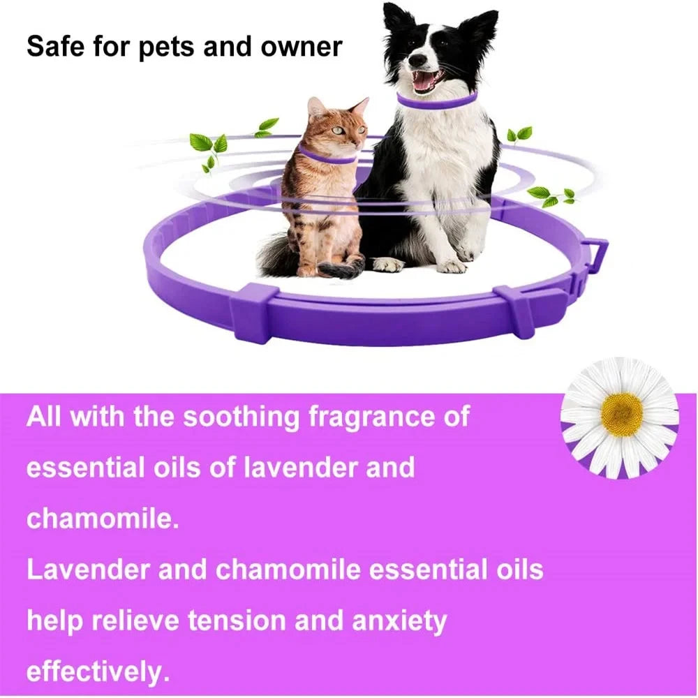Calming Dog Collar - Lavender Infused